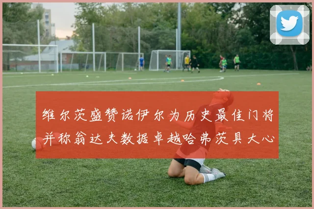 维尔茨盛赞诺伊尔为历史最佳门将并称翁达夫数据卓越哈弗茨具大心脏
